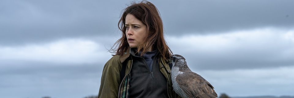 H is for Hawk_1680x560.jpg